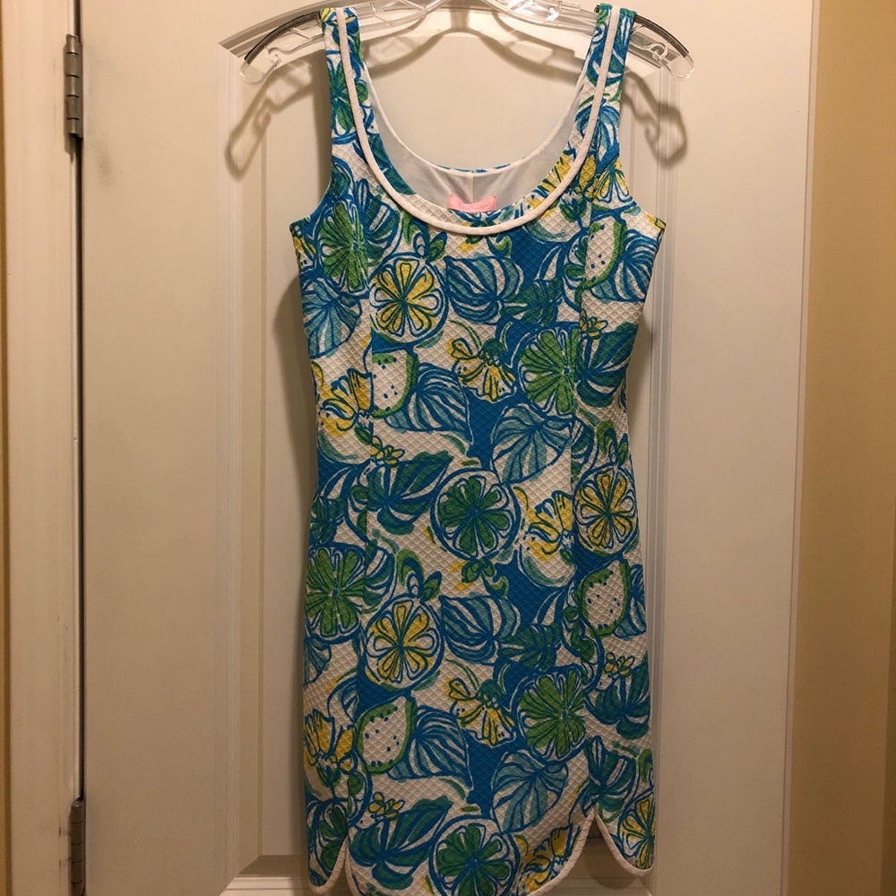 SUPER CUTE! Lily Pulitzer dress worn one time.